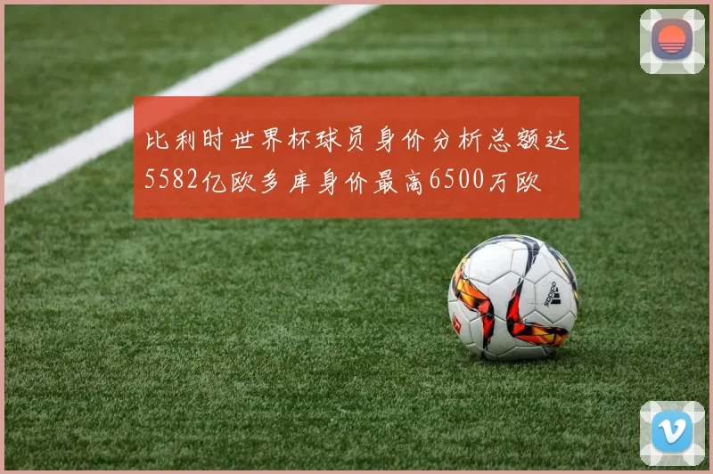 比利时世界杯球员身价分析总额达5582亿欧多库身价最高6500万欧