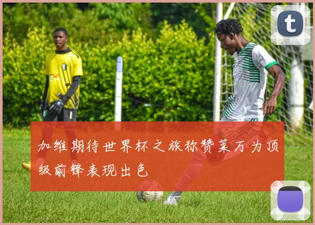 加维期待世界杯之旅称赞莱万为顶级前锋表现出色